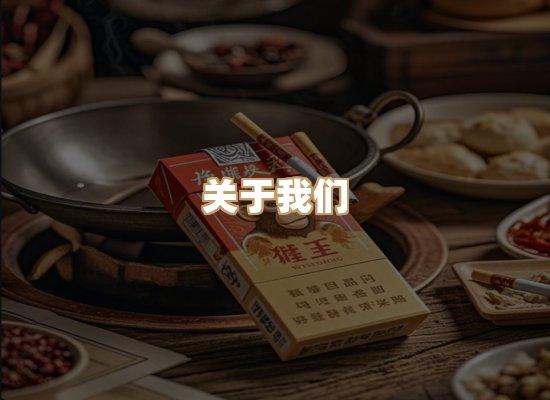 关于云歌烟网